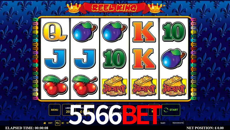 5566BET CC