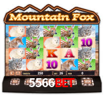 5566bet